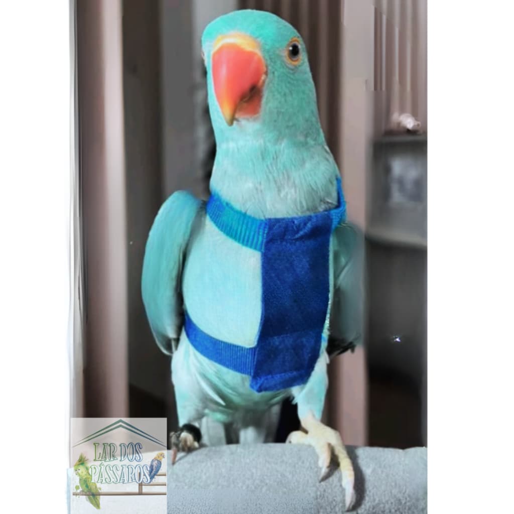 Peitoral Com Coleira Guia- Ring Neck