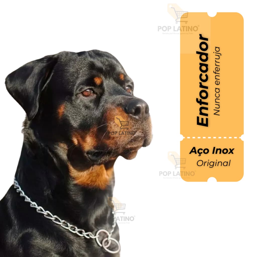 Enforcador Elo Chato Pet 2,5x50cm Cachorro Cães - Corrente, Coleira, Guia, Pet shop