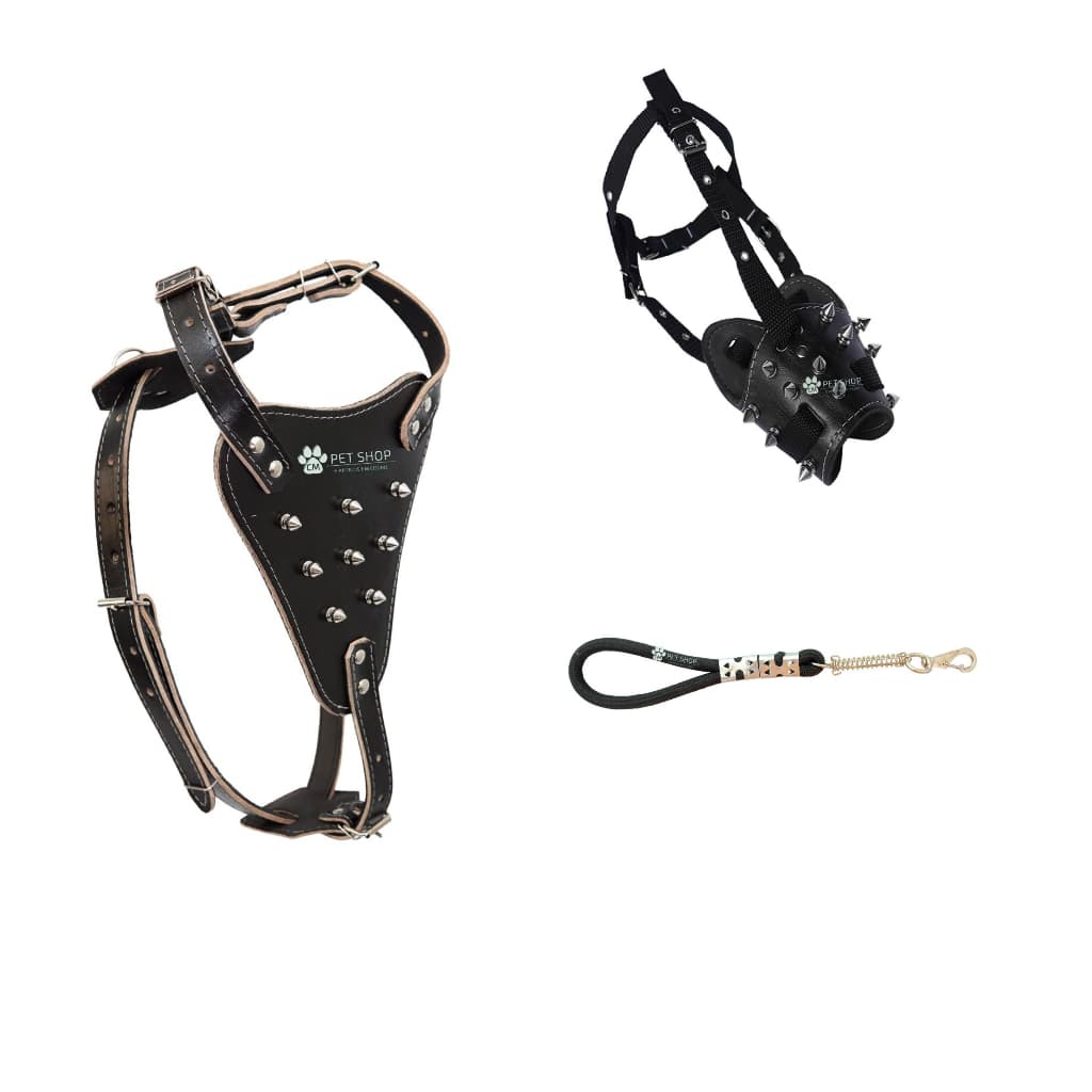 Kit 3 Peças Cachorro Peitoral Cravos Spike Focinheira De Proteção E Guia Cão