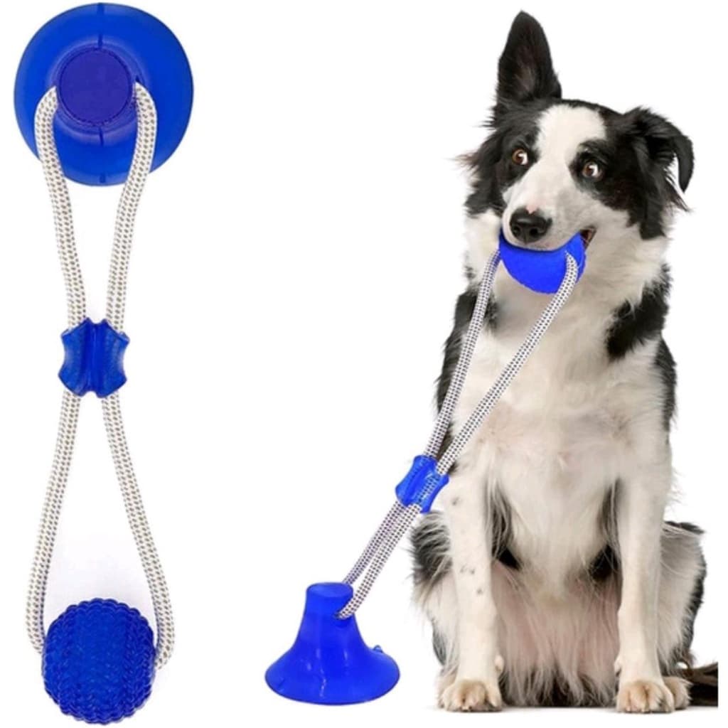Brinquedo Cabo de Guerra para Cachorro Brinquedo Interativo Mordedor Pet Limpa Dentes Gruda no Chão com Ventosa