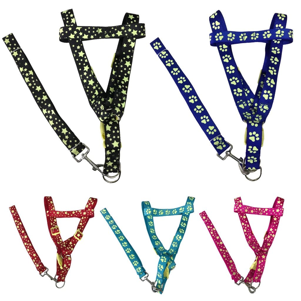 Guia Com Peitoral Coleira Neon Brilha no Escuro Para Passeio P/M/G/GG Patinha ou Estrela Cachorro Gato Segurança Noturno Proteção Pet LR-0202/LR-0203