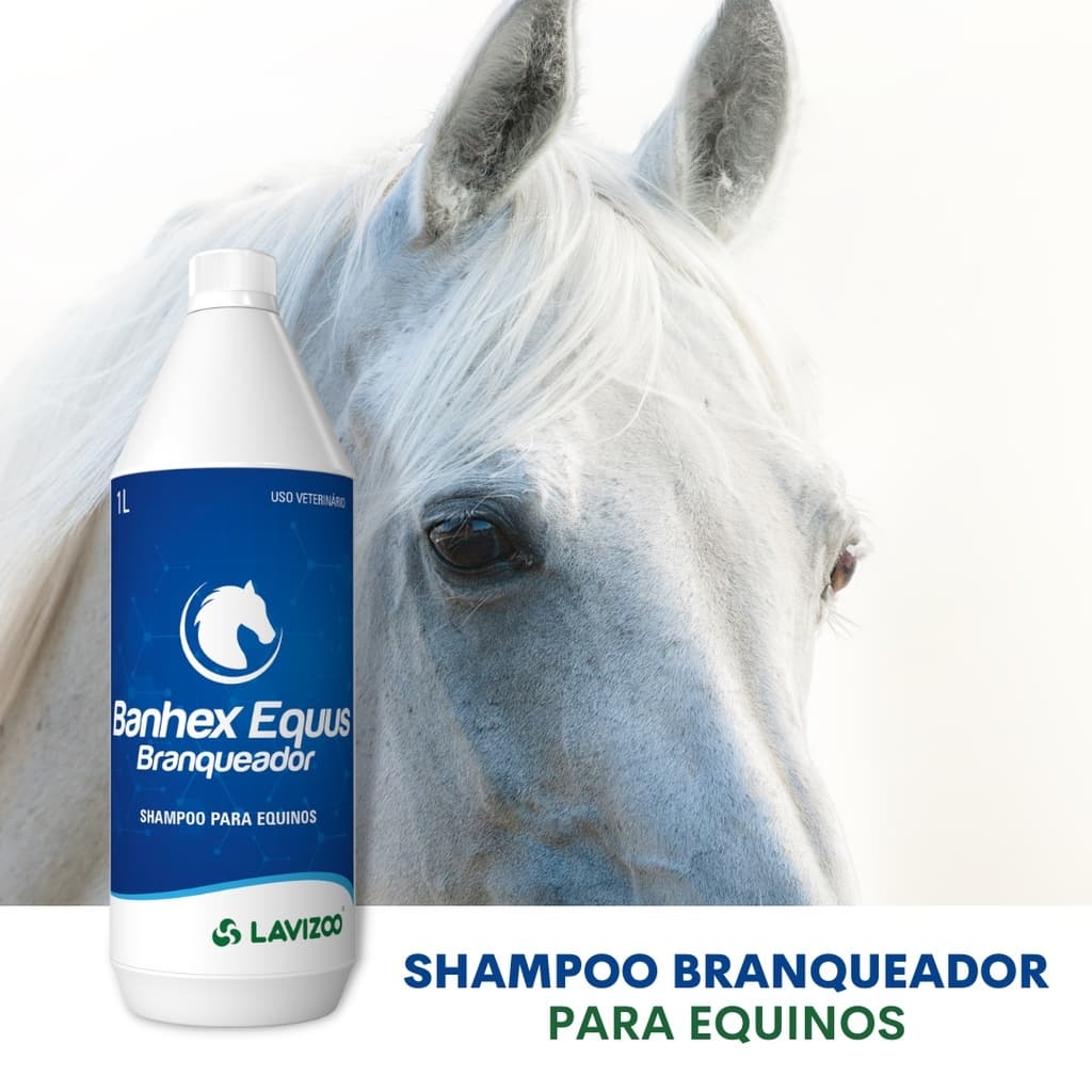 Shampoo para Cavalos Banhex Equus Branqueador 1L Lavizoo Linha Equinos