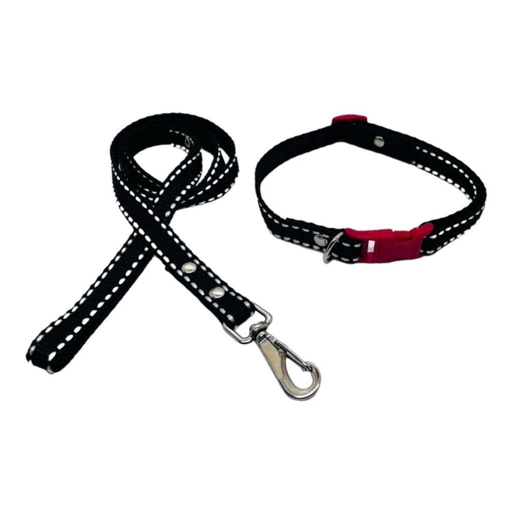 Kit Coleira e Guia para Cachorro Pequeno Ajustável Passeio Pet Acessório de Passeio - Pingo