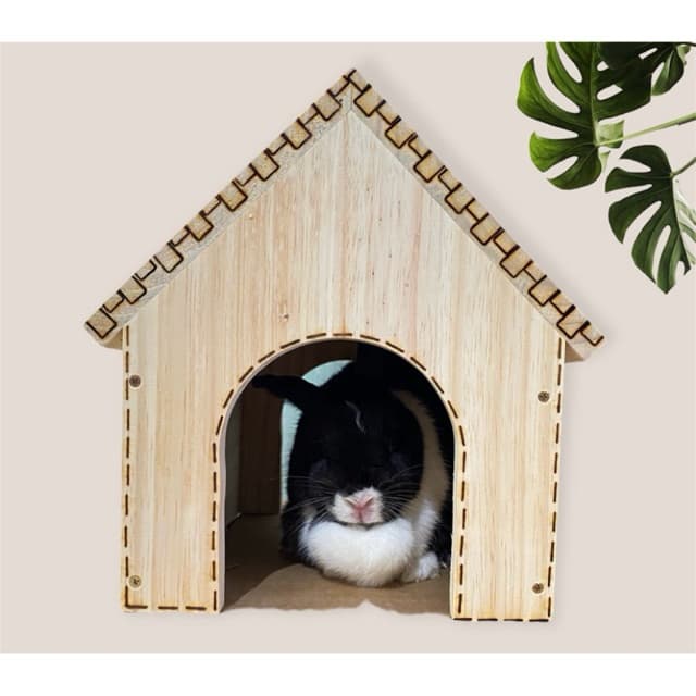 Toca/Casa para Coelhos Grande