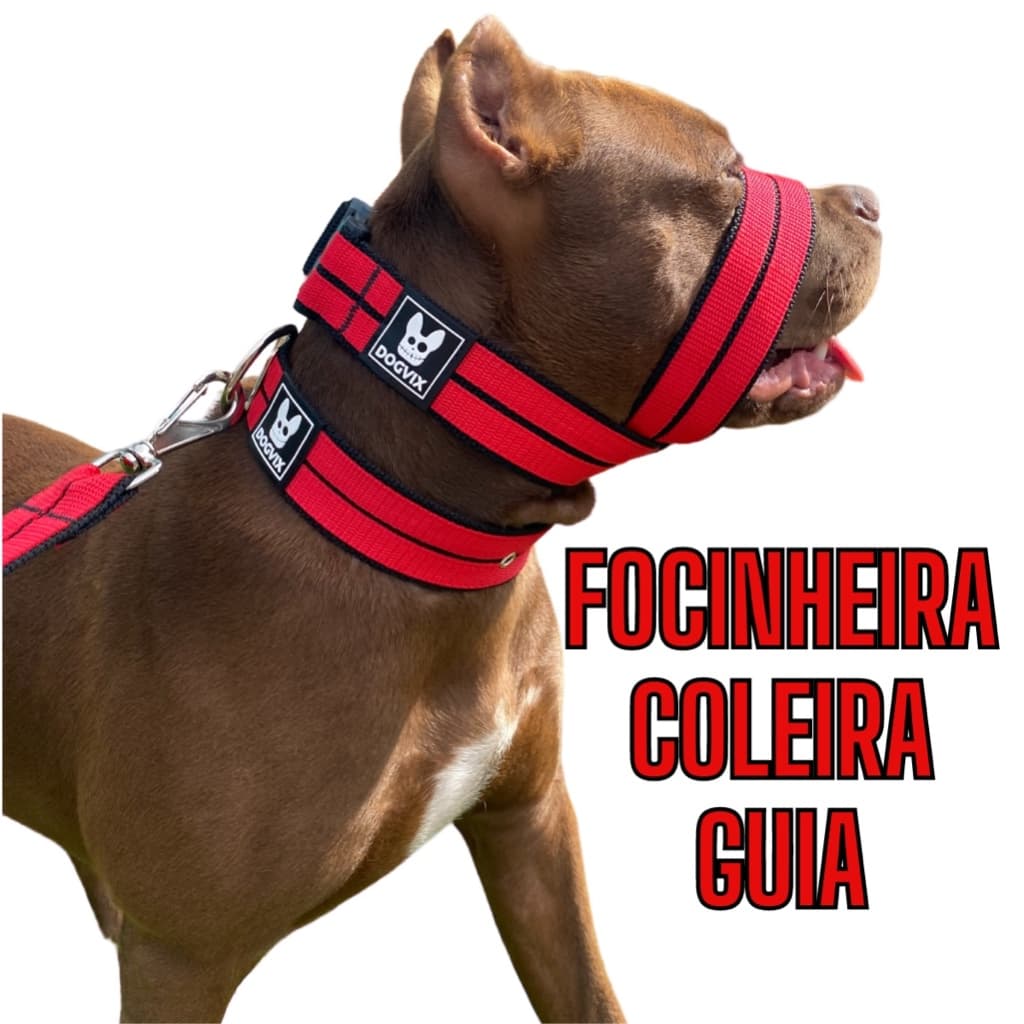 Guia Com Focinheira e Coleira para passeios viajem treinos Cachorro Pet Dogvix