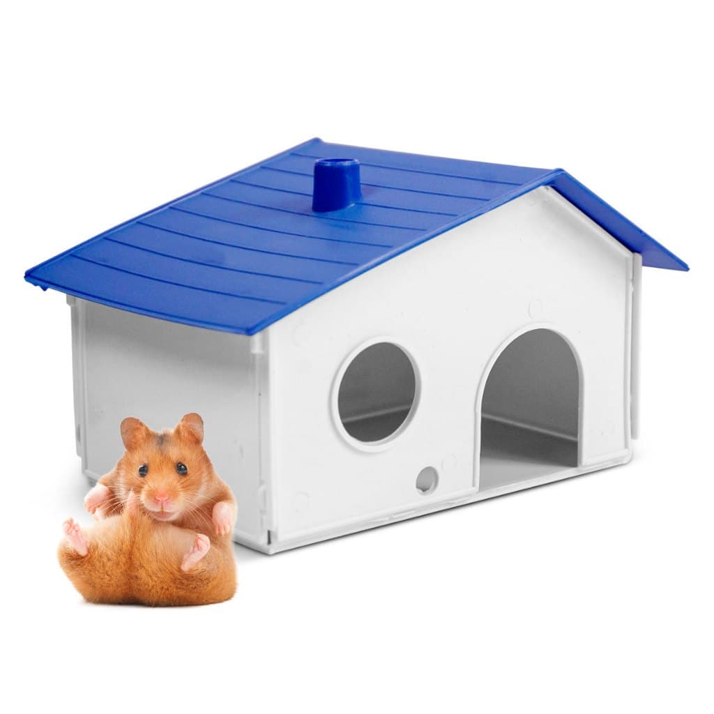 Casinha para Hamster Colorida Novidade Escolha