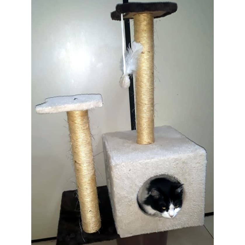 Arranhador Toca Para Gato cores variadas