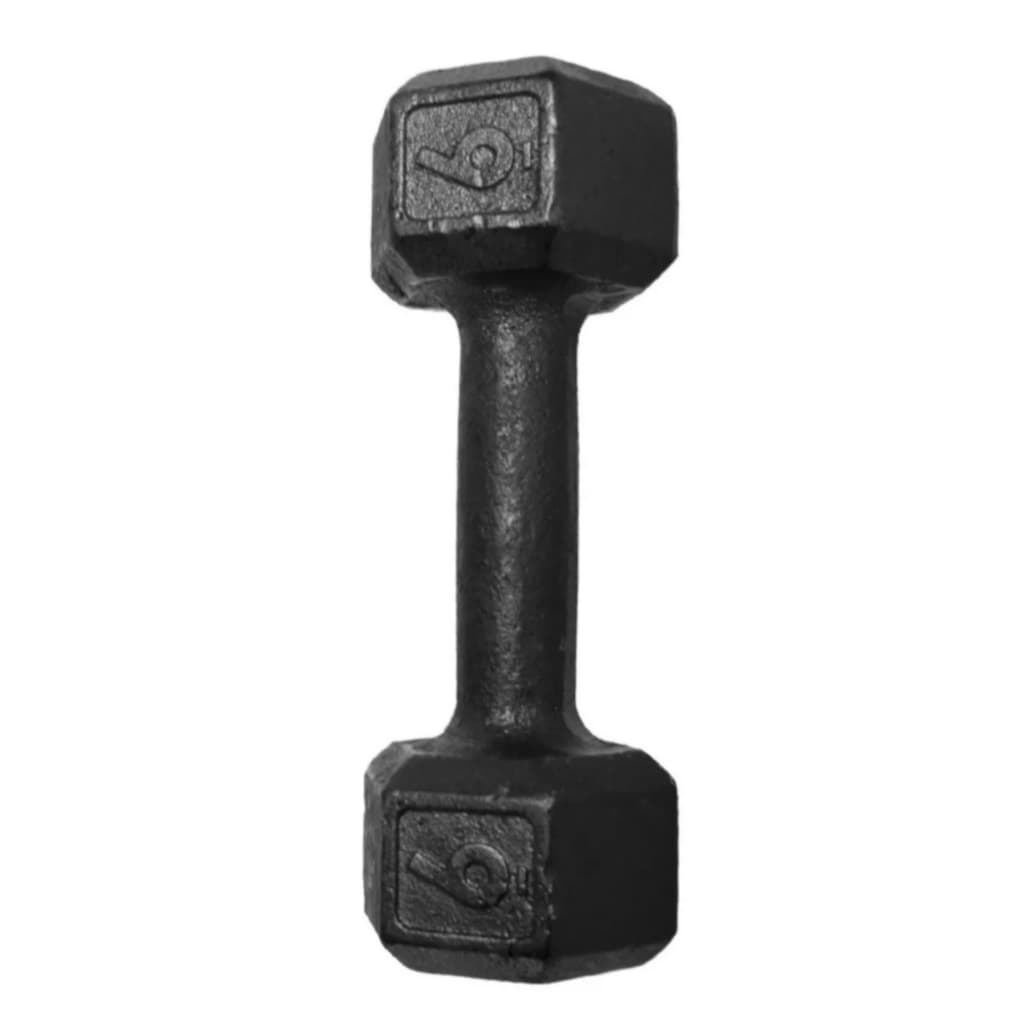 Halter Sextavado Pintado Ferro Fundido Pintado Preto de 06kg 1 Unidade Exercícios Em Casa Academia