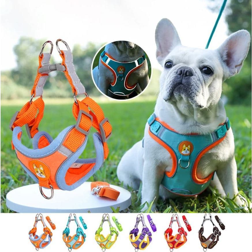 Kit Peitoral Coleira Com Regulagem + Guia Para Cachorro e Gato Coleira Tipo Colete Para Pet LR-0225