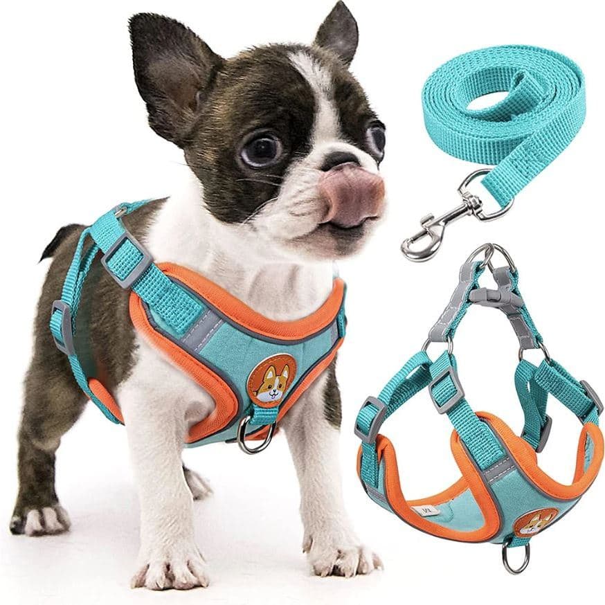Kit Peitoral Coleira Com Regulagem + Guia Para Cachorro e Gato Coleira Tipo Colete Para Pet P/M/G