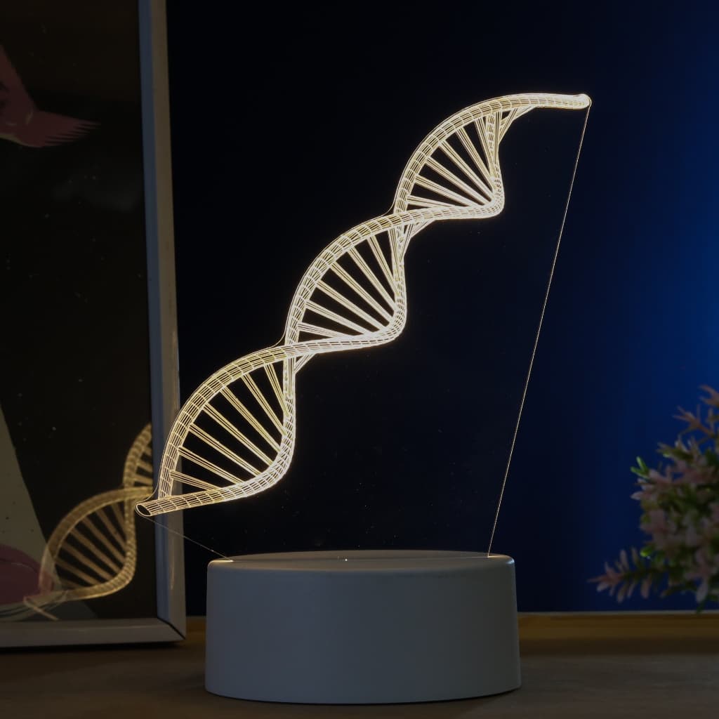 Luminária LED 3D de Mesa / Luz Noturna Presente Criativo / Decoração - DNA, genes, corpo humano