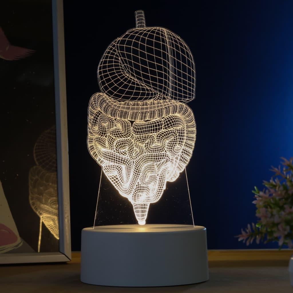 Luminária LED 3D de Mesa / Luz Noturna Presente Criativo / Decoração - sistema digestivo, órgãos, corpo humano