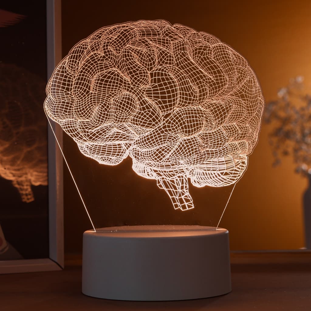Luminária LED 3D de Mesa / Luz Noturna / Presente Criativo  - cérebro realista 3D, neurologista
