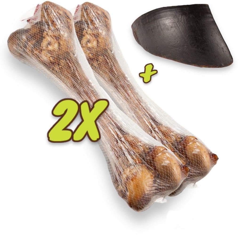 Kit 2 Osso Petisco Pet Fêmur Desidratado 100% Natural Defumado + Casco