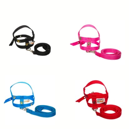 Conjunto Coleira Guia e Peitoral Para Cães Patinhas - N4