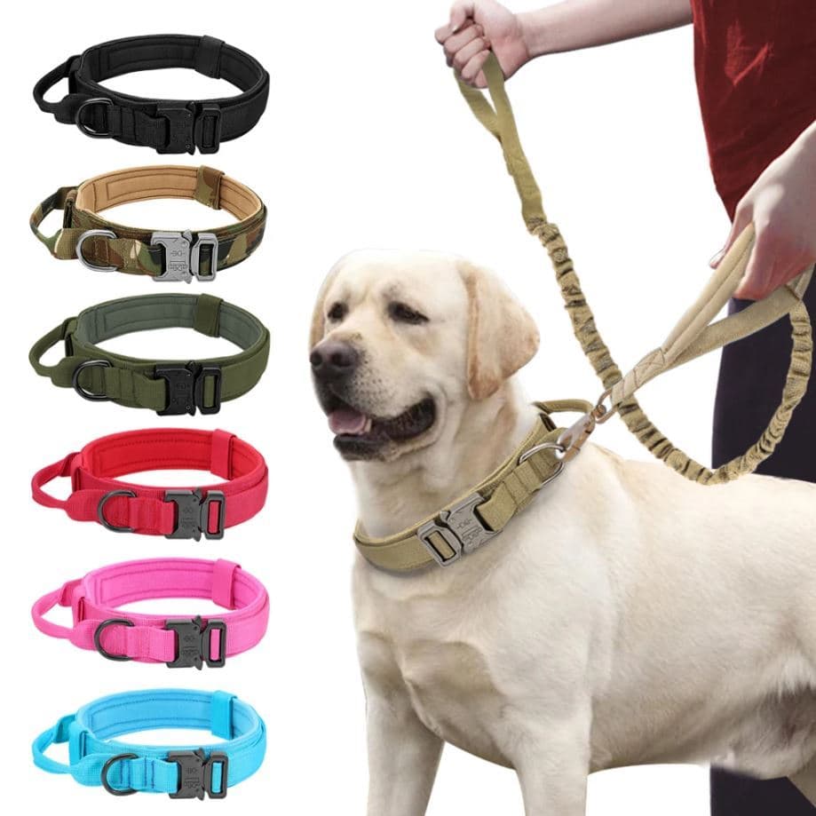 Kit Guia + Coleira Tática Militar Ajustável Resistente Para Cachorro Com Alça Treinamento Pet Grande/Médio Porte
