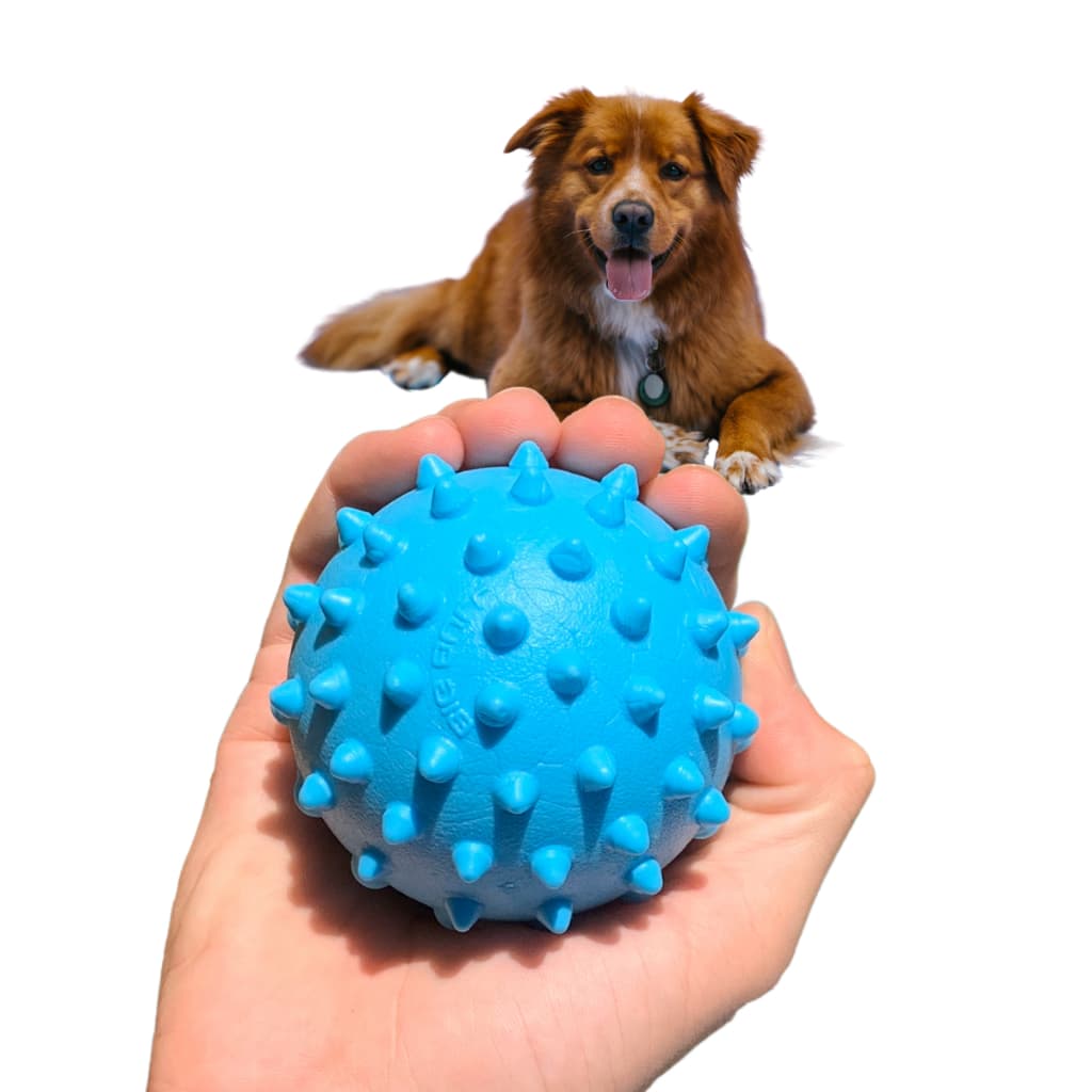 Bolinha Pet Brinquedo Para Cachorro Bola Cravo Interativo Resistente Maciço Porte Médio Big Bull Pet