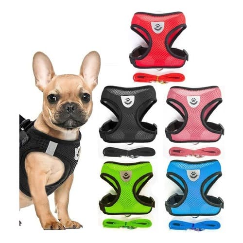 Coleira Guia Peitoral Pet Refletivo + Guia para Cães Gatos Regulável Confortável
