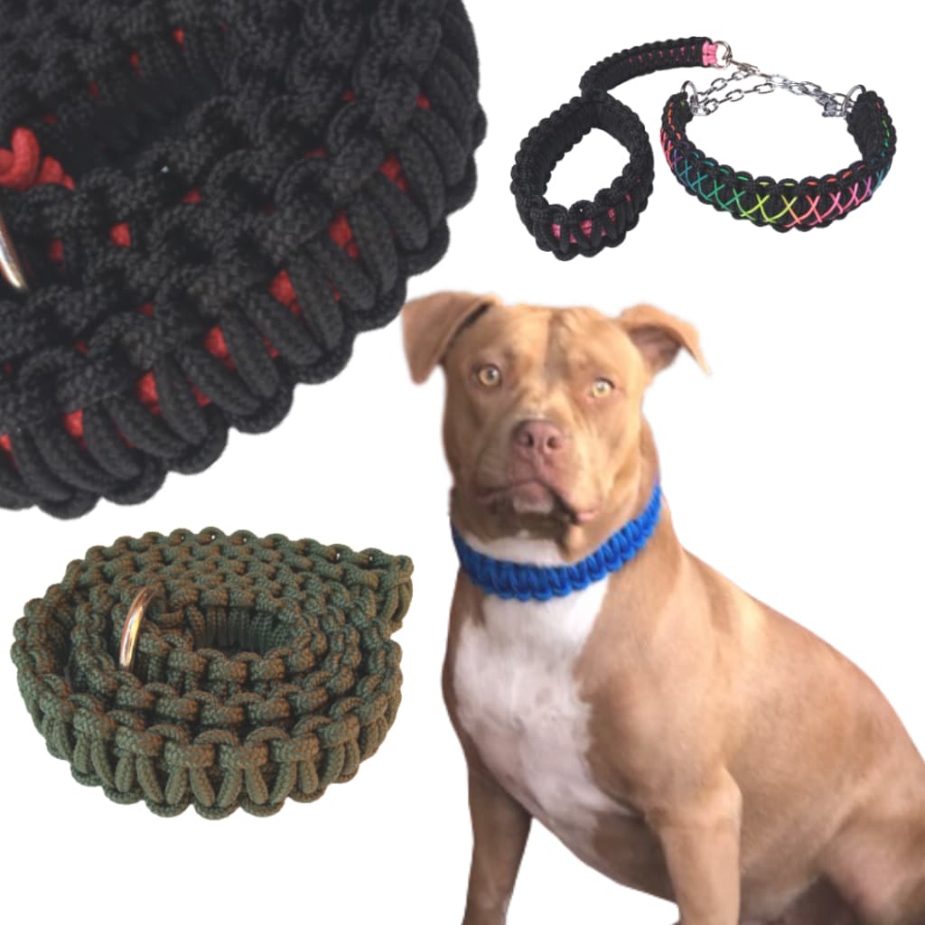 Guia Artesanal Pet para Cachorro Coleira Enforcador Pitbull Unificada Cães Médio Grande Trançada Pracor Pitmonster Bully