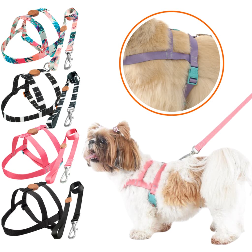 Coleira Guia Peitoral Para Cachorro Premium Tradicional Toh Pet Ajustável Cães Cão