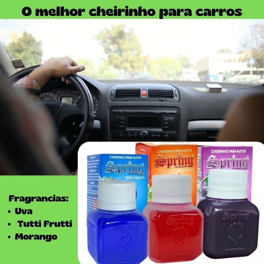 Kit 3 Aromatizante para Carro / Cheirinho para Caminhão | Perfume automotivo Spring