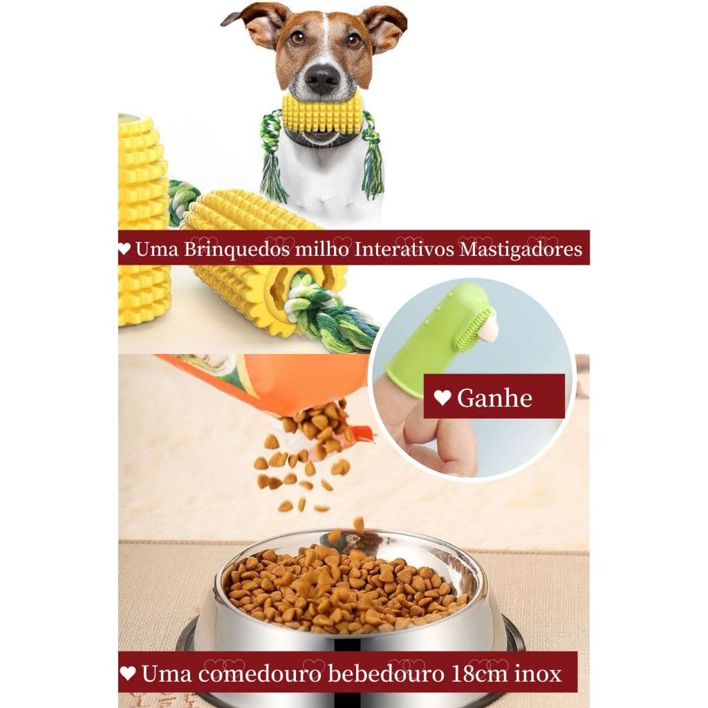 KIT Brinquedos Interativos Para cachorro Mastigadores Agressivos Limpeza Dos Dentes+ 18 CM Comedouro Bebedouro Para Cachorro e Gato Inox Antiderrapante Resistente