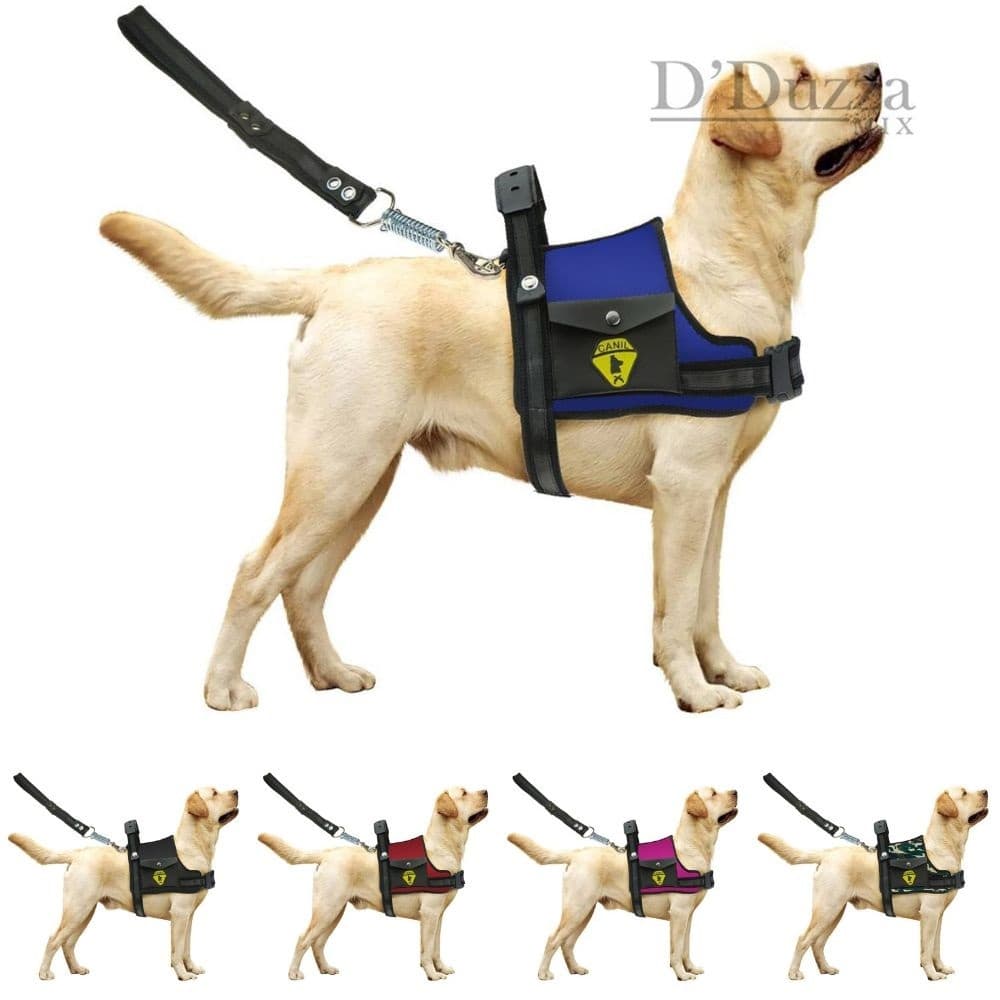 Coleira Peitoral Com Regulagem Guia de Guia Para Cães Cachorro Pitbull Doberman Com Bolso Lateral confortável