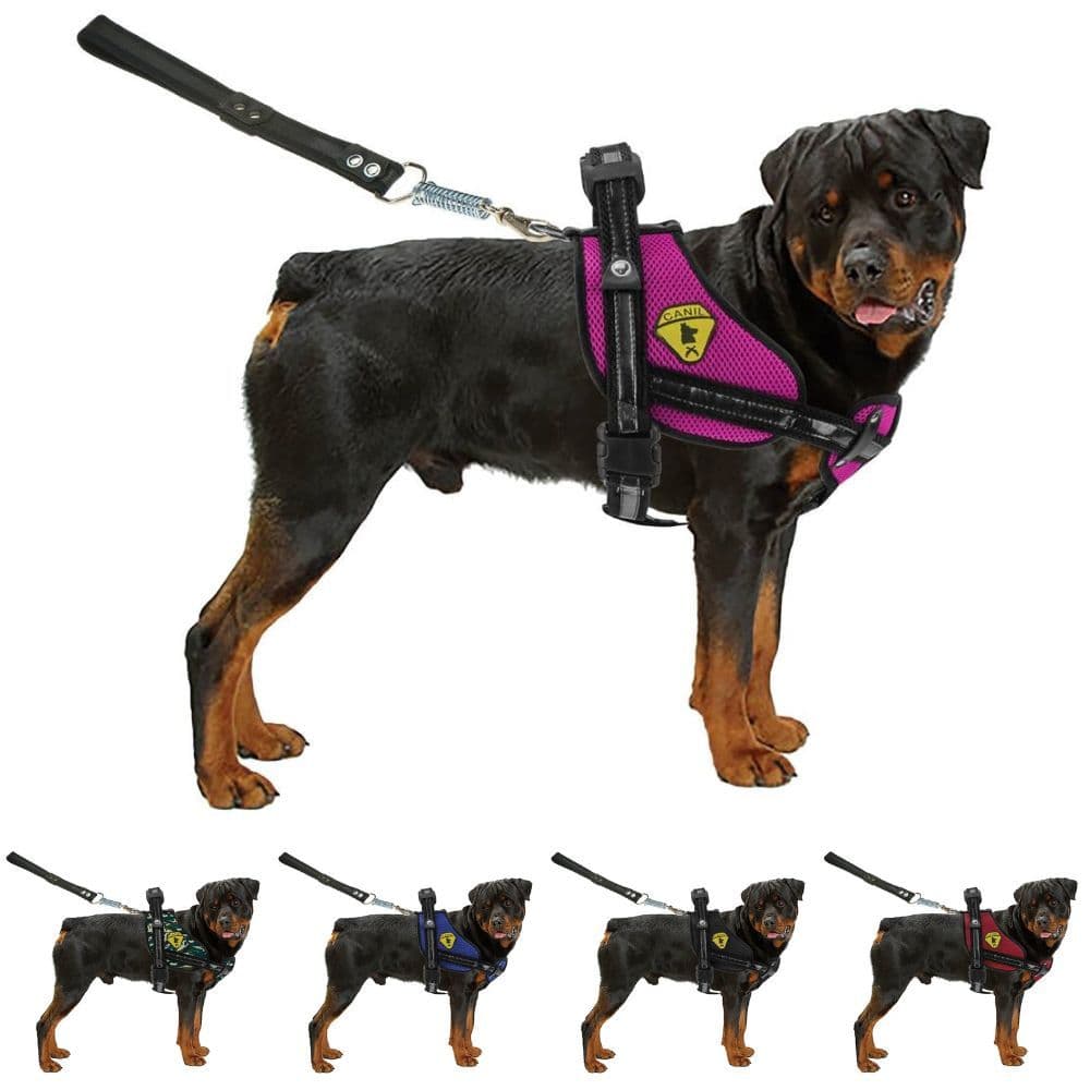 Guia Coleira Peitoral Para Cães Pitbull Doberman Golden Com Regulagem E Guia Bulls