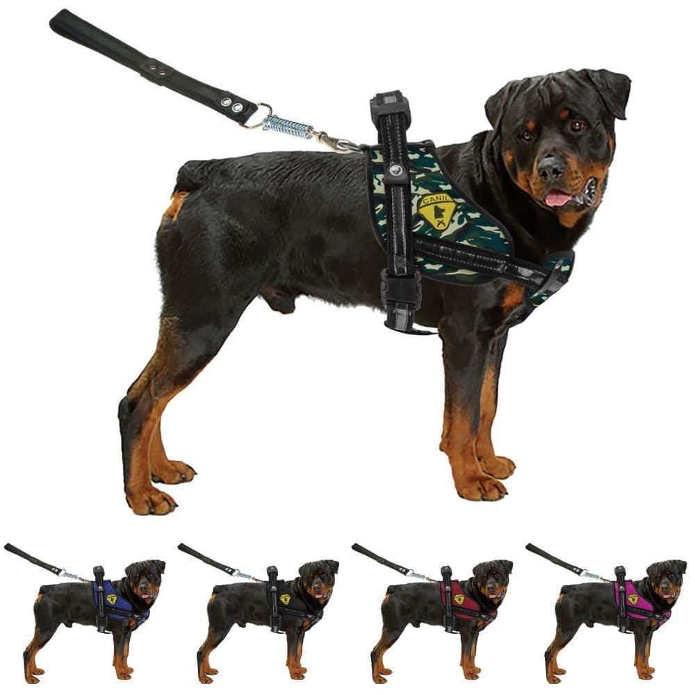 Coleira Guia Peitoral Para Cães Pitbull Doberman Golden Com Regulagem E Guia Bulls