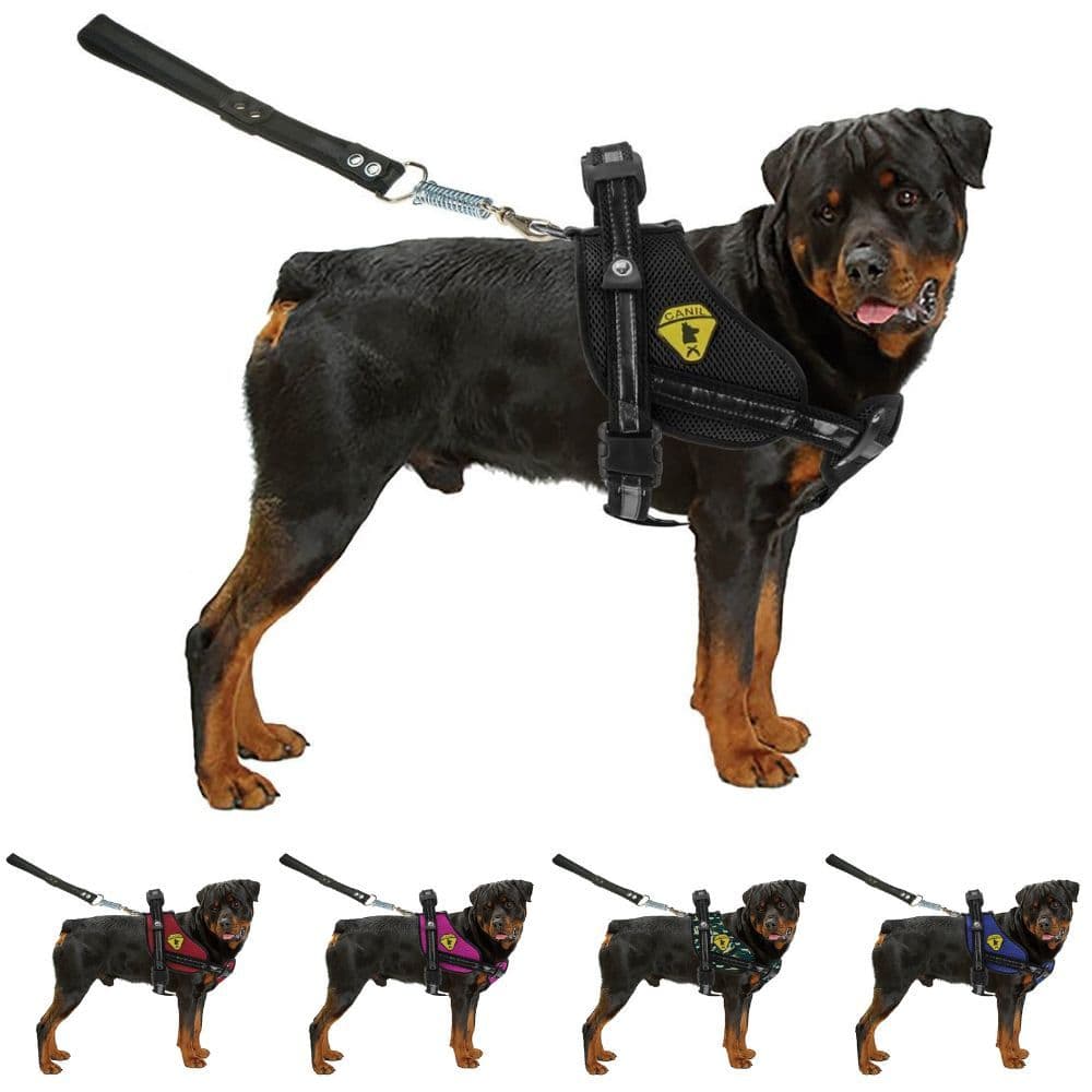 Guia Coleira Peitoral Para Cães Rottweiler Pitbull Husky Doberman Com Regulagem E Guia Bulls