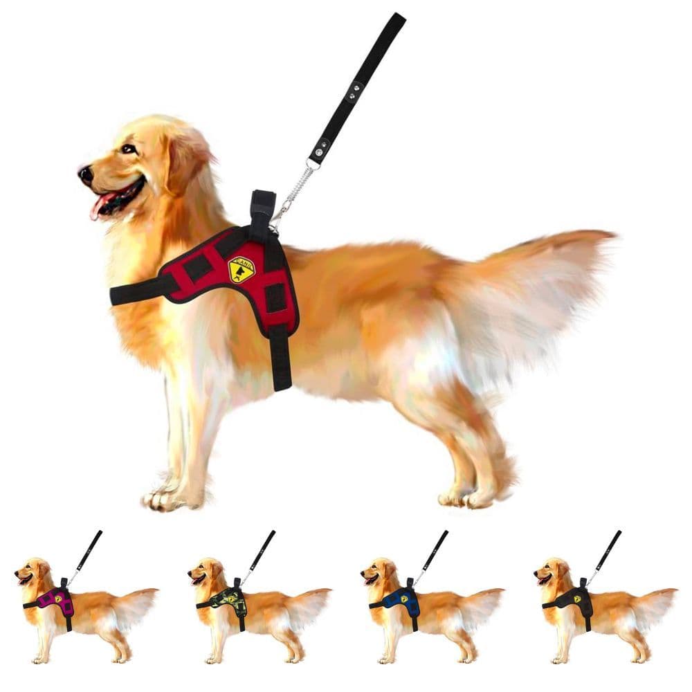 Coleira Para Cães Peitoral X C/ Guia E Regulagem Mod Spider Peitoral Coleira X Com Guia E Regulagem Para Cães Pet Forte