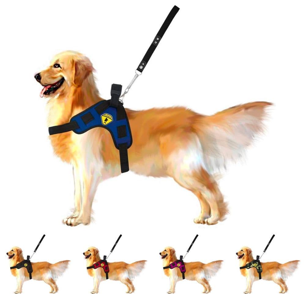 Peitoral Coleira Para Cães X Com Guia E Regulagem Mod Spider Coleira Peitoral Guia Canil Com Regulagem X Americano Cães