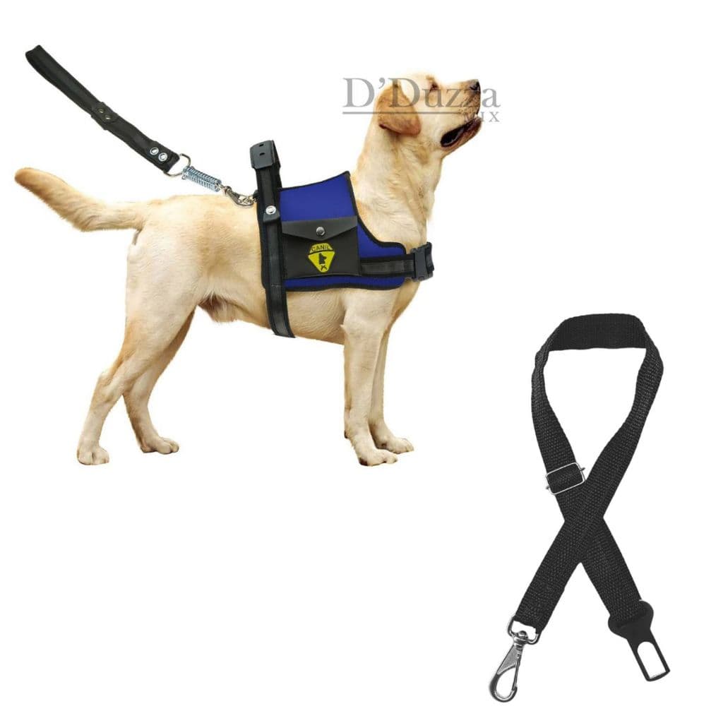 Guia Peitoral Coleira Com Guia + Cinto de Segurança Regulagem Para Cães Com Bolso