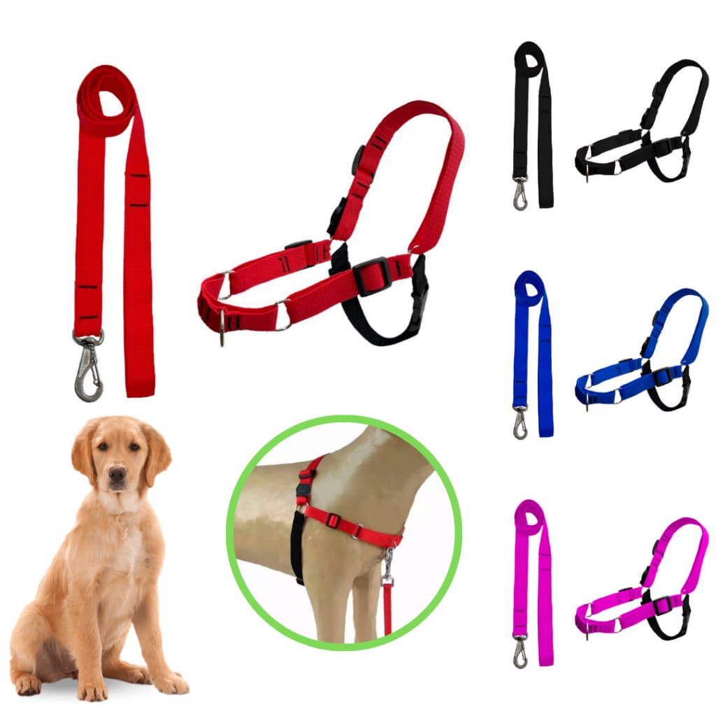 Conjunto guia e peitoral anti puxão para cães