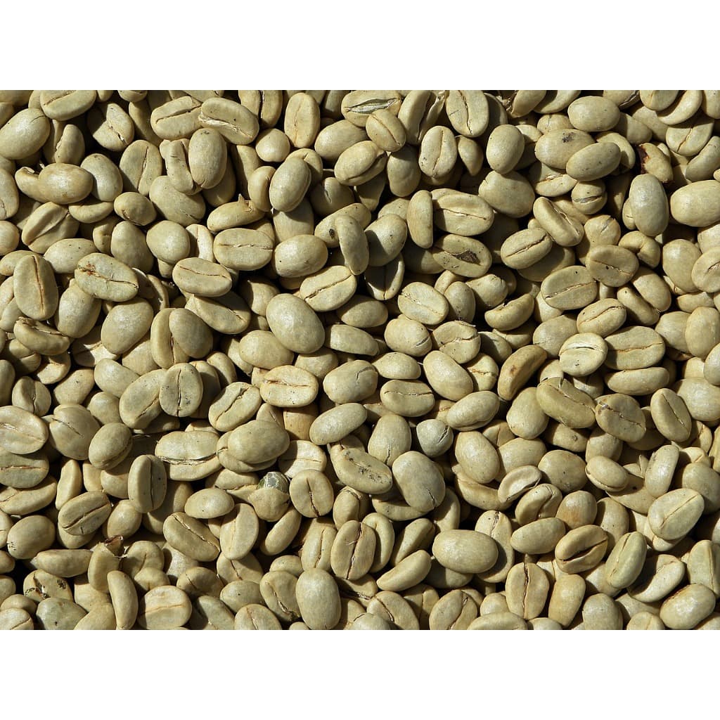 Café Especial Em Grãos 5kg 100% Arábica Gourmet Peneira 15+ Premium