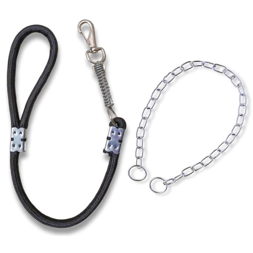 Conjunto de Guia Para Passeios com Cachorros Grandes Guia Amortecedor + Enforcador Kit Pet