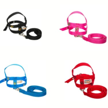 Conjunto Coleira Guia e Peitoral Para Cães Patinhas