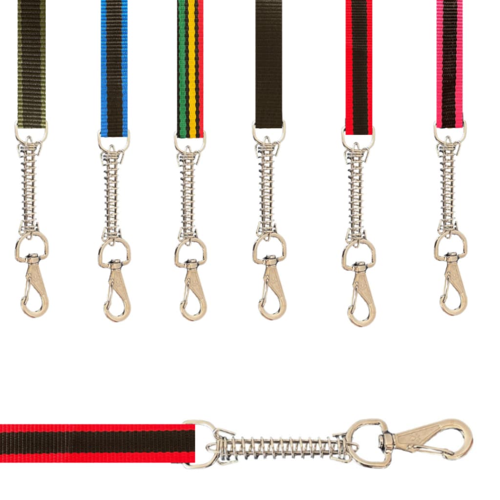 Guia pet com amostecedor resistente passeio