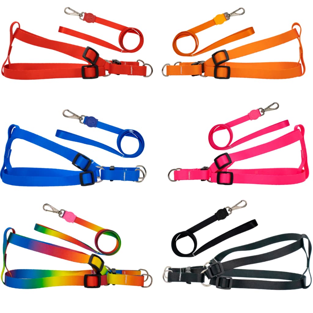 KIT guia para passeio com coleira ajustável peitoral luxo cachorro
