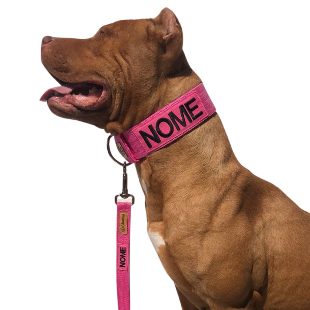 Kit coleira personalizada e guia 120cm para cães de médio e grande porte.
