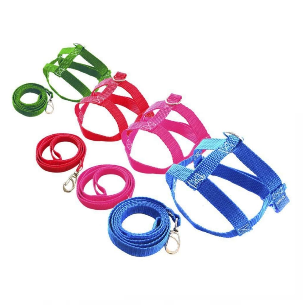 Coleira Peitoral Para Cães e Gatos Coleira Com Guia Nylon