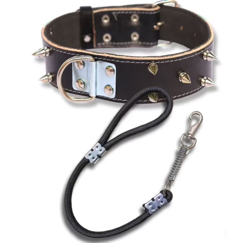 Kit Passeio Cachorro Grande Coleira de Couro + Guia com Amortecedor Guias Pet