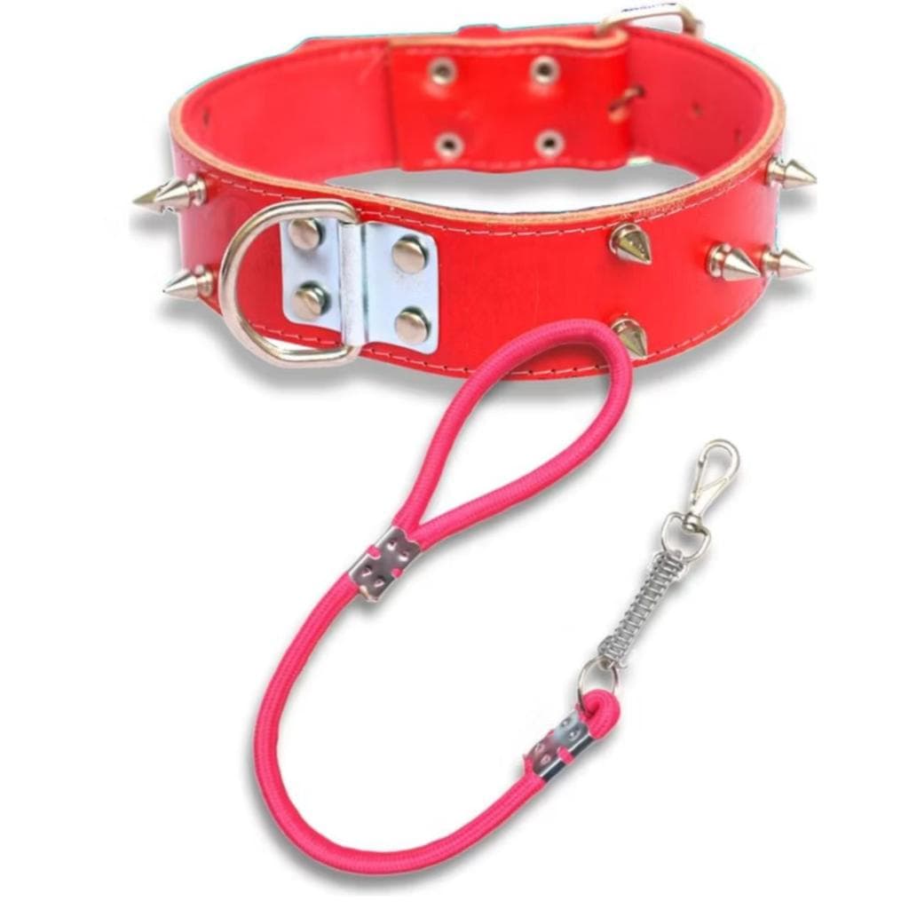 Kit Passeio Cachorro Grande Coleira de Couro com cravo + Guia com Amortecedor Guias Pet