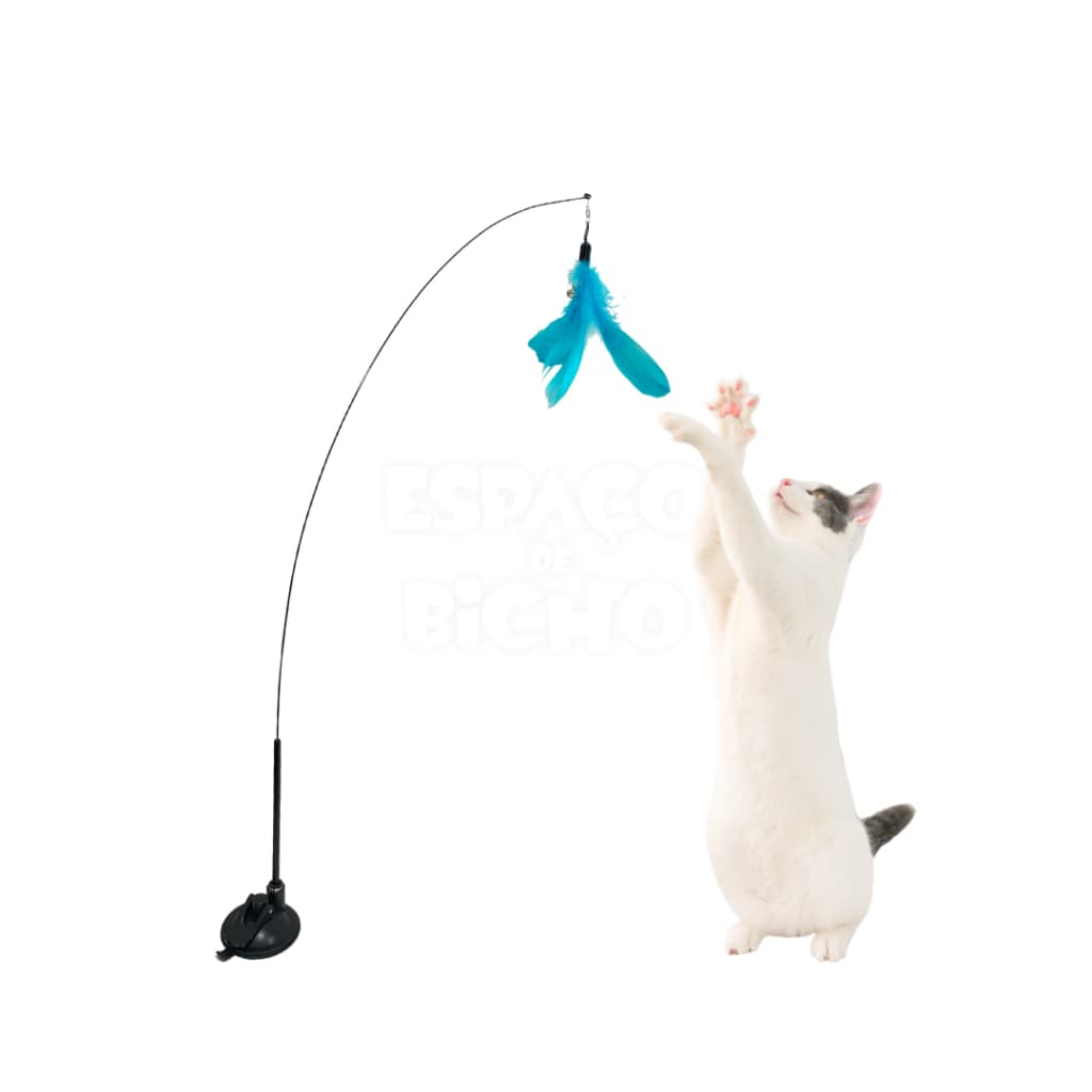 Brinquedo Varinha Gato Passaro Com Ventosa Fixa No Chao Penas Coloridas Qualidade Premium