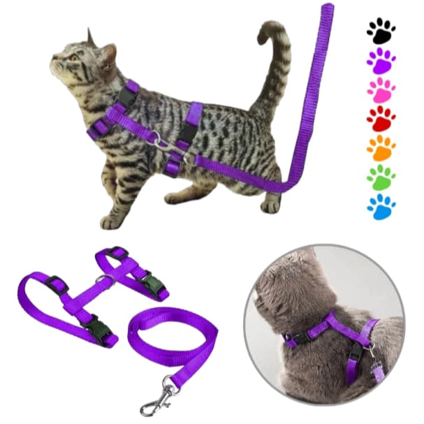 Coleira Peitoral Fina Com Guia Gato Pet Shop Ajustavel E Guia Macho e Femea Unissex Passeio Pet