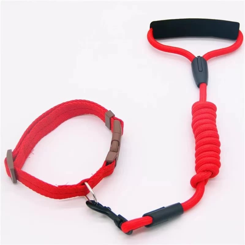 Coleira com Guia Colorida para Pets EM0962 - Garantindo Segurança e Conforto ao Pet
