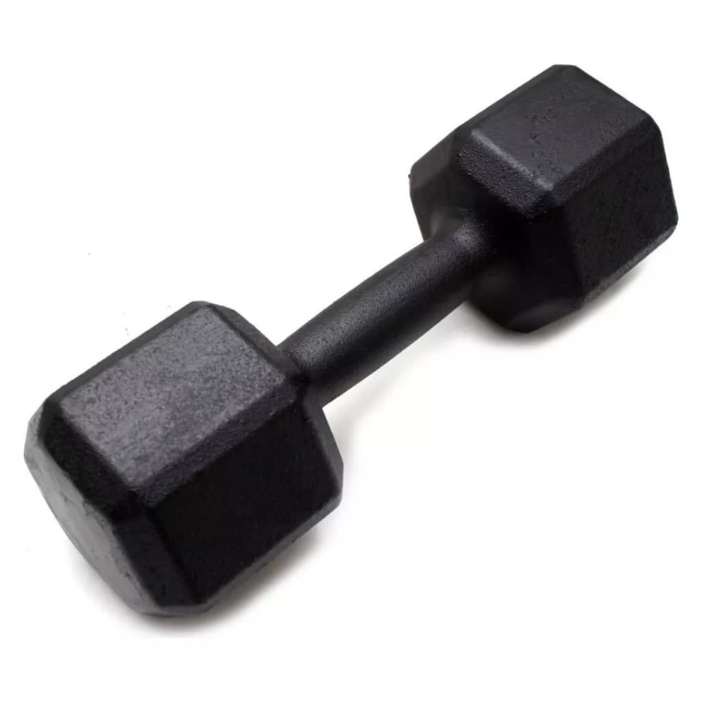 Halter Sextavado Pintado 9 ao 10 Kg "Unidade" - Treino em Casa Musculação Academia Crossfit
