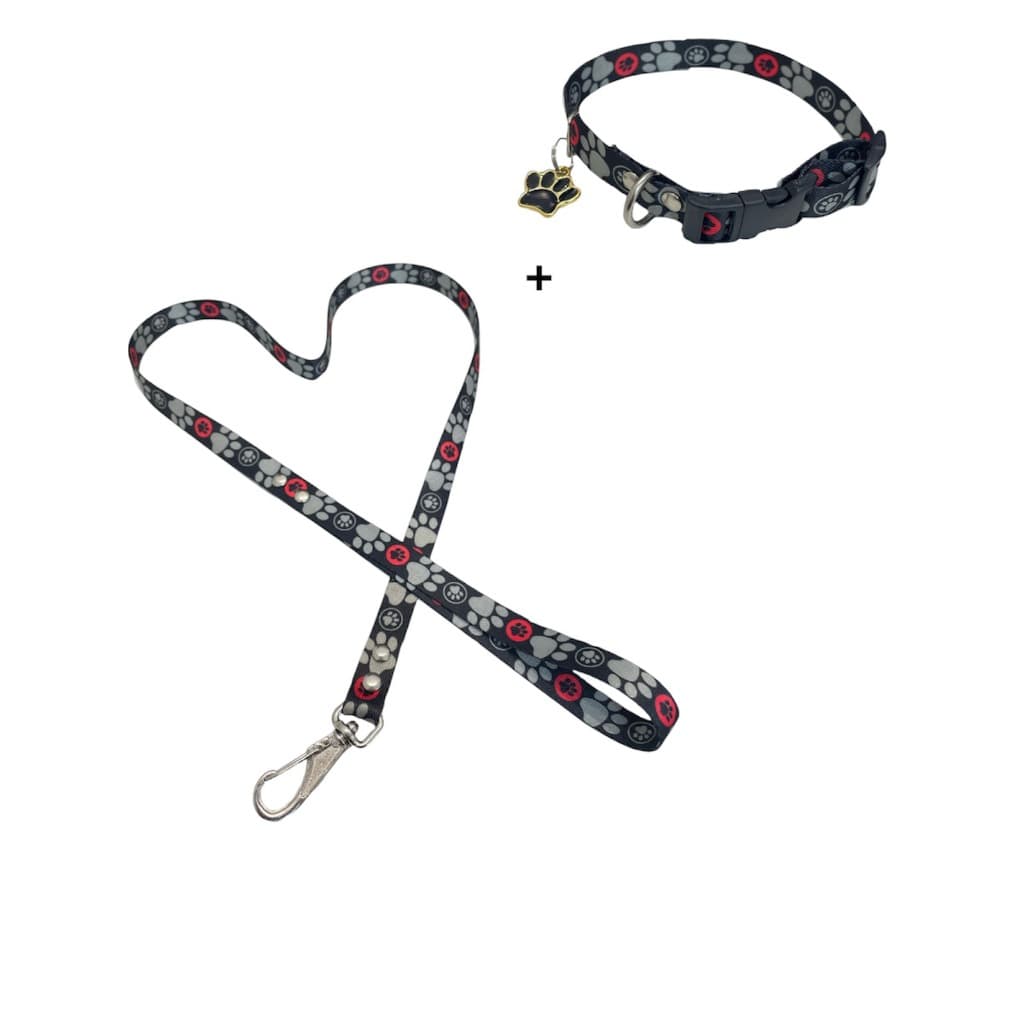 Coleira com Guia Cachorro E Gato, Conjunto De Guia + Coleira  Para Pet Pequenos E Médios - - Mel