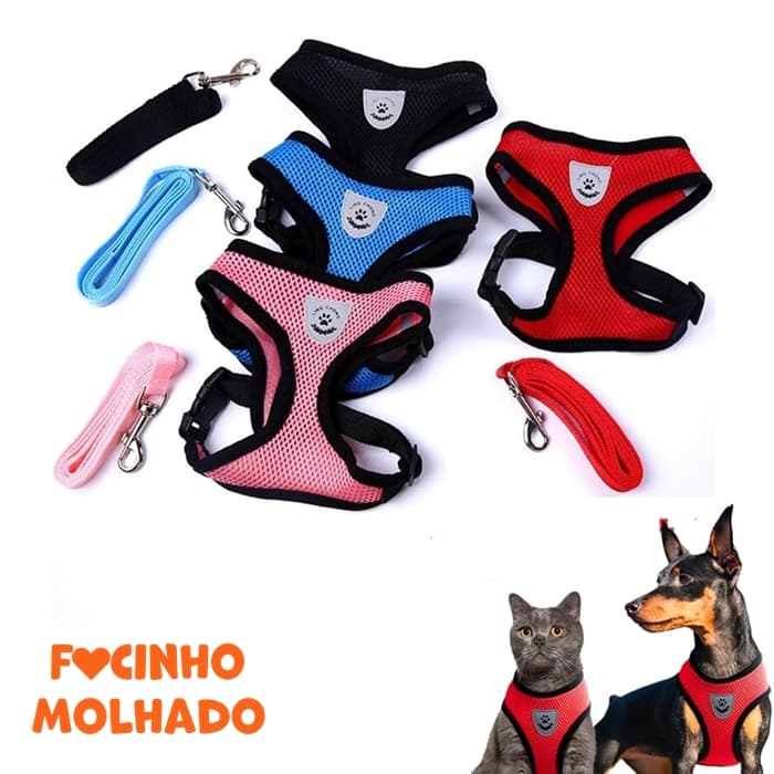 Colete Coleira Peitoral e guia Refletivo de Passeio para Cachorros e Gatos Pet Pequeno e filhotes Winky Pet