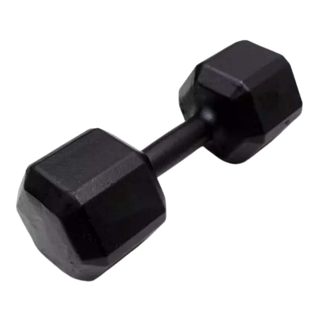 Halter Sextavado Pintado 1 kg Treino em Casa Musculação Academia Funcional Peso (1 UNIDADE)